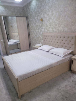 Apartment on Shahi Zinda